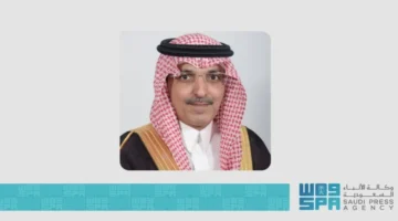 إستراتيجية وطنية.. وزير المالية يبدأ تنفيذ خطة التخصيص لتعزيز كفاءة الإنتاجية